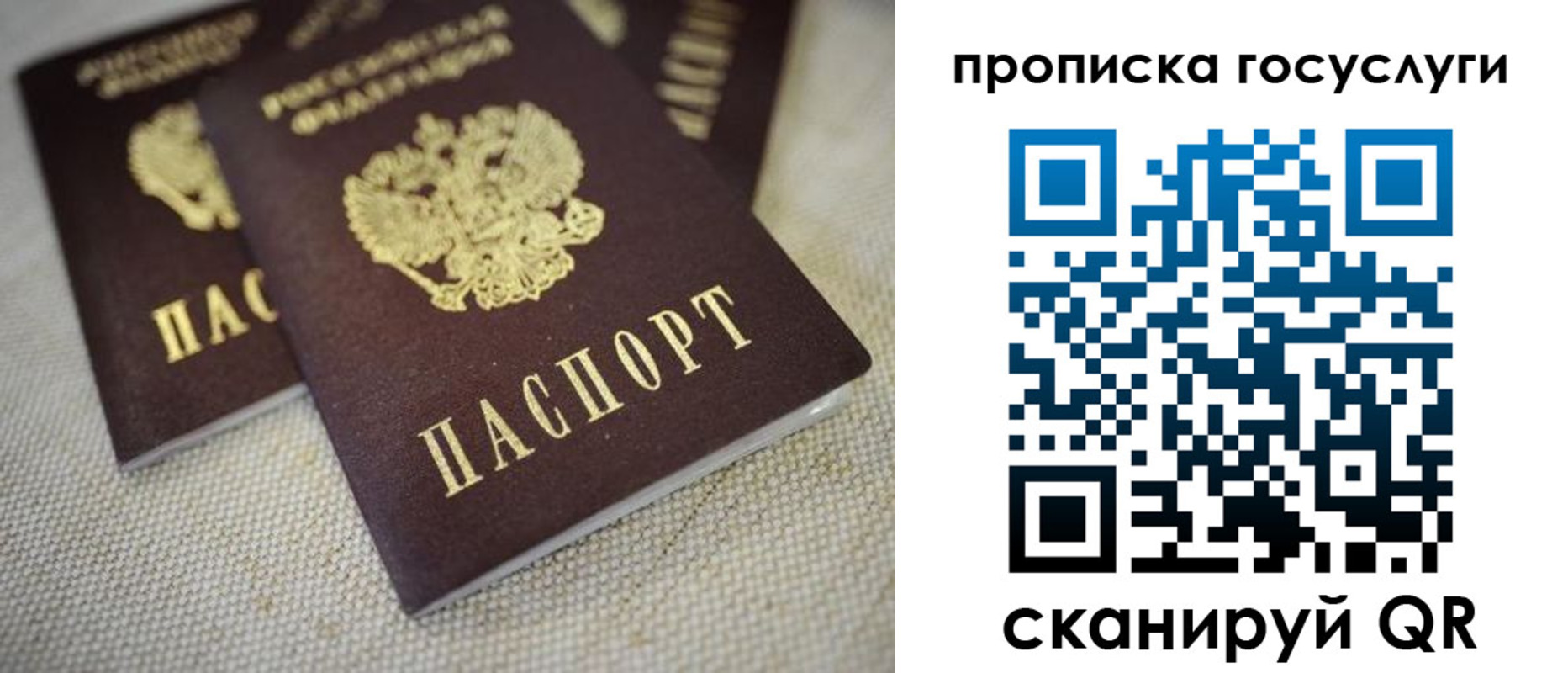 временная регистрация для всех в Павловске